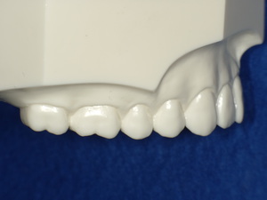 PICT0044.JPG